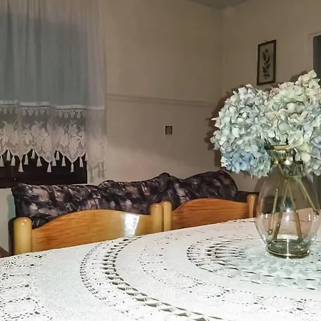 Tzina's Mountain House *