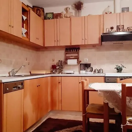 Holiday home Tzina's Mountain House Elati (Trikala)