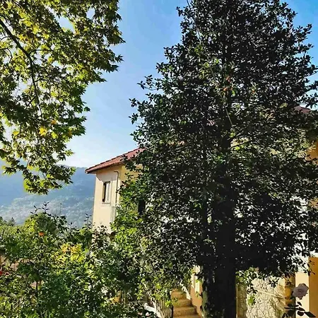 Tzina's Mountain House *